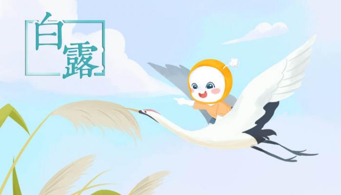 白露節(jié)氣氣溫有什么特點 白露節(jié)氣生活注意事項