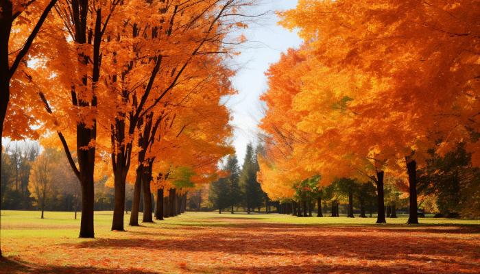 白露節(jié)氣晝夜溫差特點是啥 白露晝夜溫差的影響-易網(wǎng)健康<a href=http://www.logojc.com/jkys/ target=_blank class=infotextkey>養(yǎng)生</a>網(wǎng) 白露節(jié)氣晝夜溫差特點是啥 白露晝夜溫差的影響