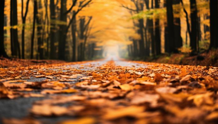 白露節(jié)氣晝夜溫差特點是啥 白露晝夜溫差的影響-易網(wǎng)<a href=http://www.logojc.com/ target=_blank class=infotextkey>健康養(yǎng)生</a>網(wǎng) 白露節(jié)氣晝夜溫差特點是啥 白露晝夜溫差的影響