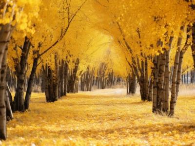 白露節(jié)氣的特點和風(fēng)俗 白露節(jié)氣的風(fēng)俗有哪些