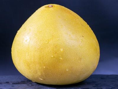 葡萄柚是否適合糖尿病患者食用