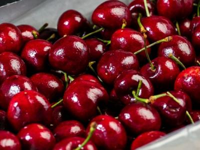 車厘子對皮膚的保養效果如何