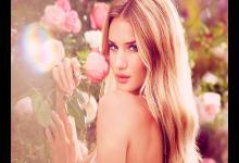 要享受哪種天堂 先挑個好位置