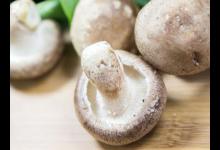 血脂太高怎么降 降血脂的方法你知道嗎