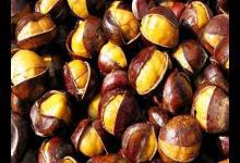 生吃板栗竟然最能補男人腎