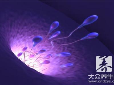 精子和卵子結(jié)合肚子會(huì)疼嗎？