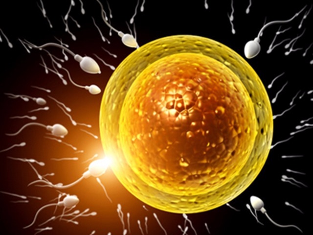 精子好吃 男人的精子女人可以吃嗎