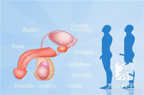 一次高危感染尖濕幾率