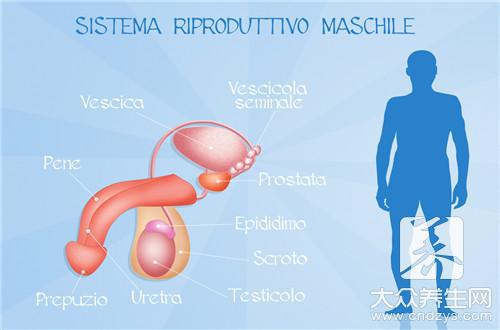 人工受精是不是親生孩子啊？ 