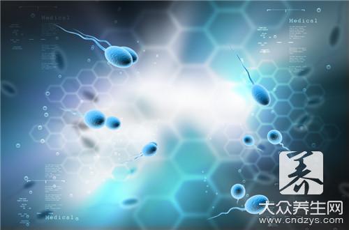 把精子吞進(jìn)去會怎么樣