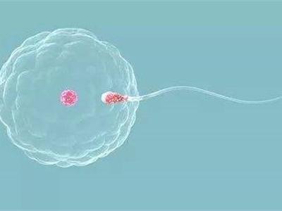 排卵期怎么算？記住這三點，女生可自測