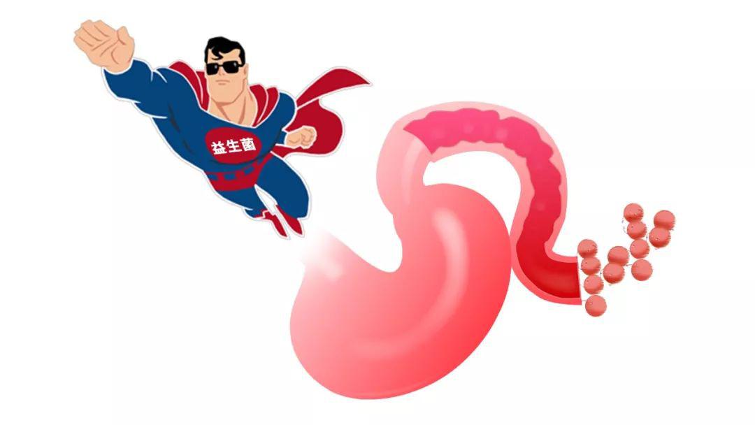 女性補充益生菌雖好，但不要進入誤區