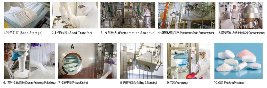 女性補充益生菌雖好，但不要進入誤區