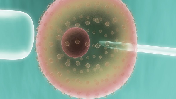 女性卵泡發(fā)育不良怎么辦 應(yīng)對(duì)卵泡異常的4個(gè)方法