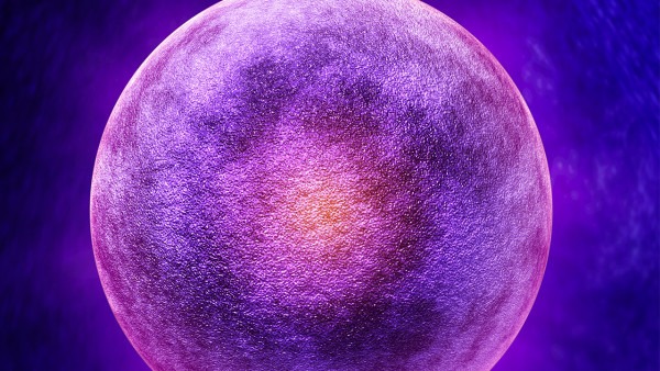 女性卵泡發(fā)育不良怎么辦 應(yīng)對(duì)卵泡異常的4個(gè)方法