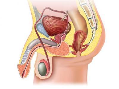 早泄是手淫過多導致的嗎 頻繁手淫會不會引發性功能障礙