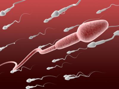 喝啤酒會(huì)殺精嗎 啤酒對(duì)男性精子有什么影響