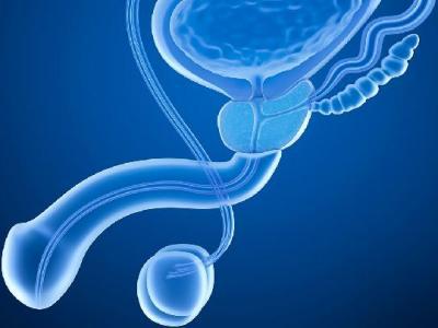 詳解陰虱病的原因和傳染途徑 4大因素導(dǎo)致感染陰虱病