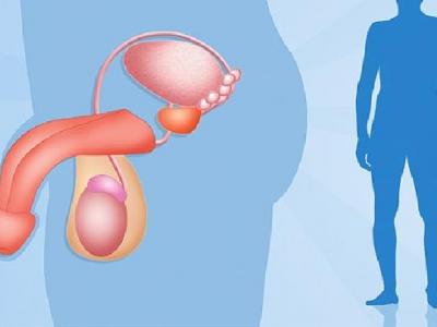 男性左側(cè)小腹脹痛遺精的原因是什么 這些因素會(huì)導(dǎo)致男性頻繁遺精