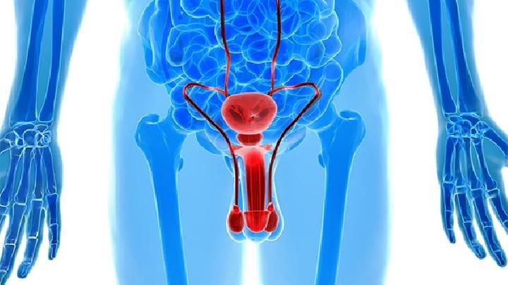 男性性功能障礙的主要表現(xiàn)是什么？男性應(yīng)如何預(yù)防性功能障礙