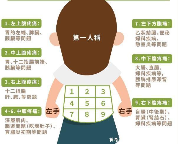 女性下腹疼痛部位圖解位置，左下腹痛警惕卵巢囊腫/輸卵管炎