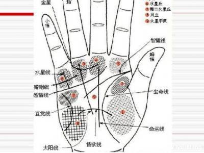 掌紋圖解女右手詳解圖片，事業(yè)線(xiàn)到中指根部會(huì)有所成就