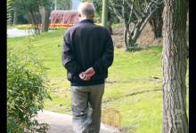 散步是最平價的養(yǎng)生法 老人散步謹(jǐn)記4要點