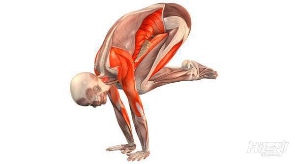 每天一式學瑜伽：烏鴉式！加強腹部肌群力量