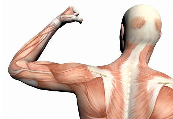 利用InBody，5分鐘讀懂你的身體