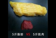 利用InBody，5分鐘讀懂你的身體