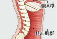 核心≠腹肌 認識核心肌群和訓(xùn)練方法