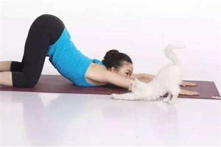 同房姿勢(shì)108種，瑜伽幫你打開性愛姿勢(shì)內(nèi)附圖解