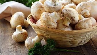 為什么藜麥可以成為網(wǎng)紅飲食減肥食物