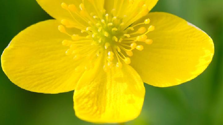 推薦優質美味減肥餐 美味減肥餐讓你把減肥當享受