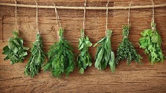 瘦身秘訣 怎樣才能均衡飲食？