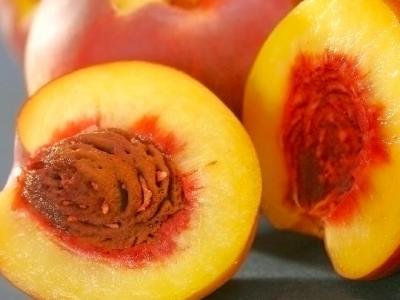 低碳成了個熱門詞! 低碳豐胸安全又環保