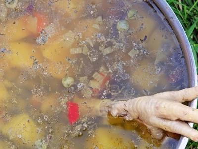 七日瘦身湯真的有那么神奇嗎 七日瘦身湯的正宗做法