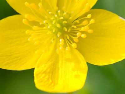 女性產后營養減肥餐吃什么好 女性產后健康減肥食譜推薦