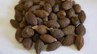 節(jié)食減肥容易反彈的幾個(gè)原因，一定要知道