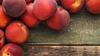 健身教練力薦，減肥減脂營養(yǎng)餐