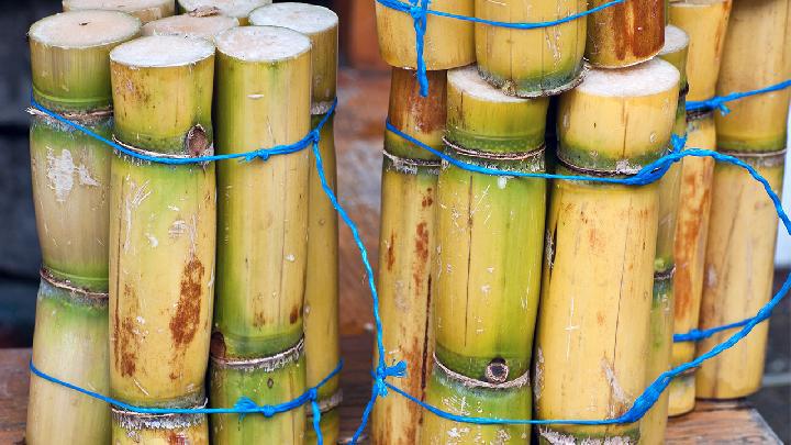 夏季減肥吃哪些食物好 夏季減肥常吃5種食物瘦的快