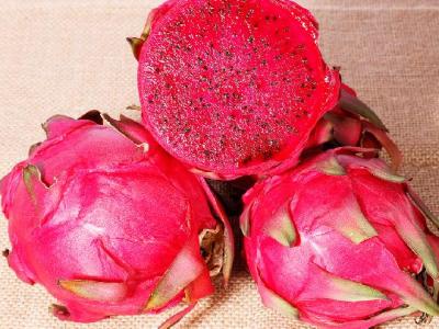 冬季如何減肥？推薦冬季減肥操簡單塑造完美體態