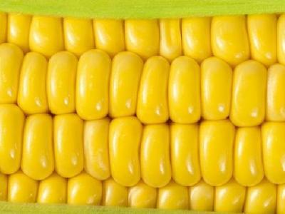 早餐怎么吃減肥？減肥早餐吃什么好？