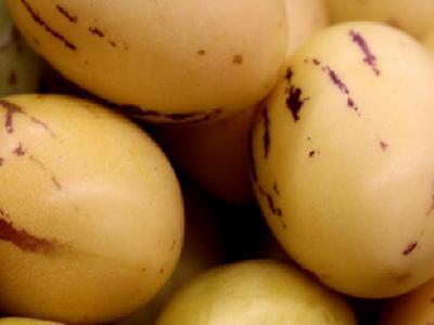 如何避免減肥導致的月經(jīng)不調？總結減肥導致月經(jīng)不調的要點