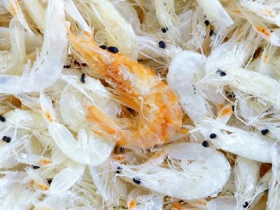 喝茶減肥需要注意什么？春季喝茶減肥的禁忌