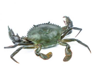 減肥初期體重增加怎么辦？運動在減肥種的作用是什么？