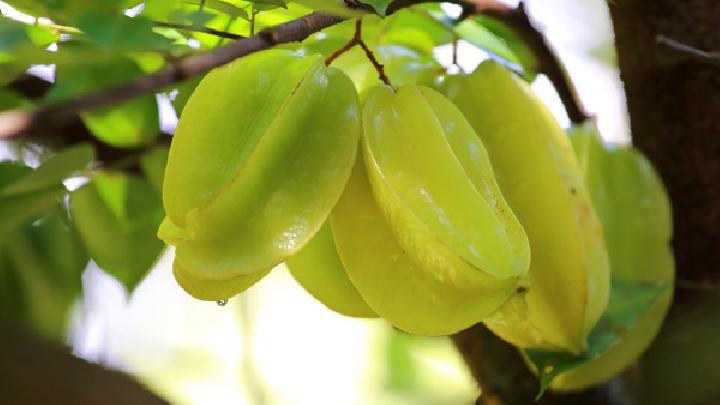 喝海帶冬瓜湯能減肥嗎？海帶冬瓜湯怎么做減肥？