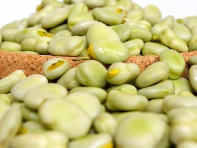 如何用健身球減肥？健身球減肥操動作有什么？