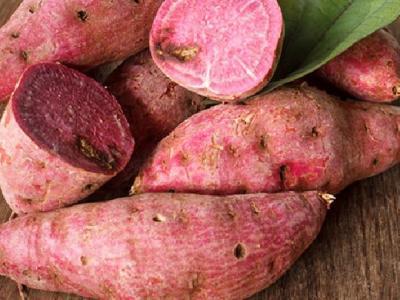 喝烏龍茶多久能減肥？喝烏龍茶減肥的注意事項