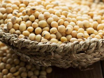 春季減肥吃什么好？春季減肥飲食推薦